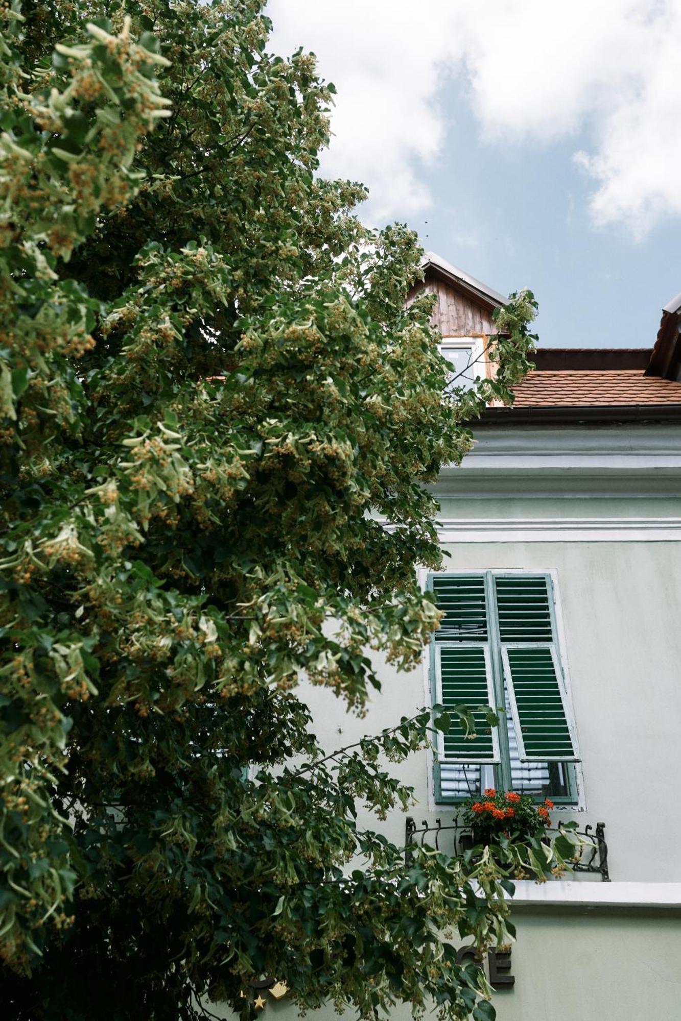 Moldos Haus Apartment Sibiu Exterior photo
