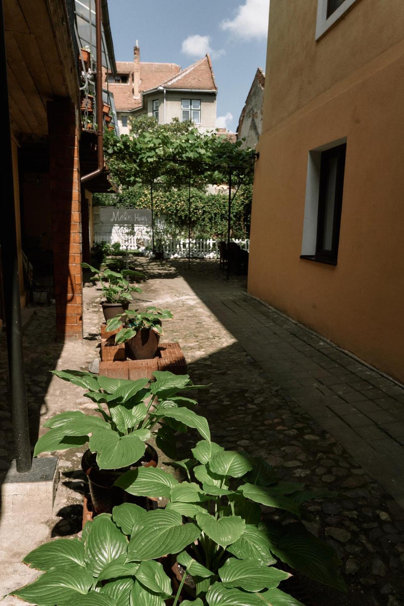 Moldos Haus Apartment Sibiu Exterior photo